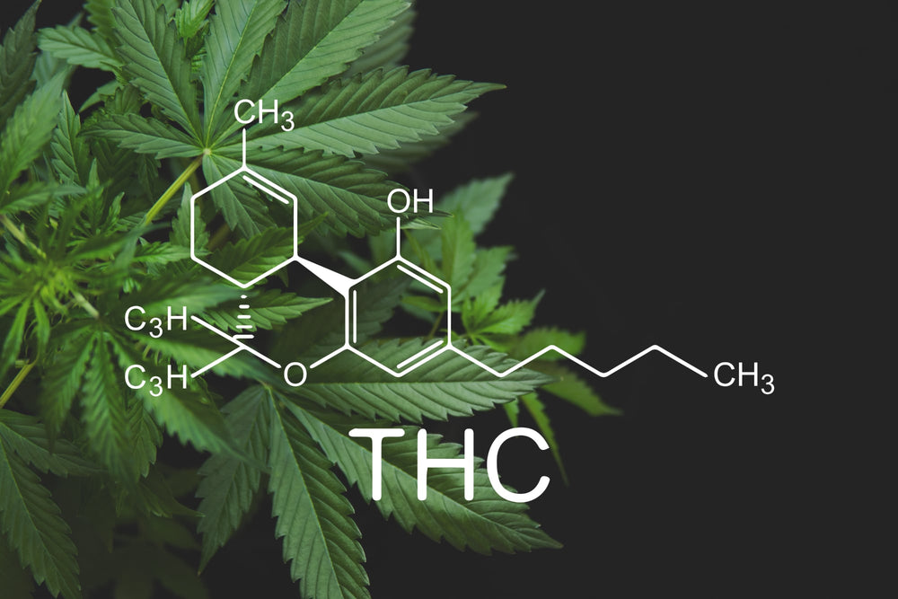 Beyond the High: All About THC