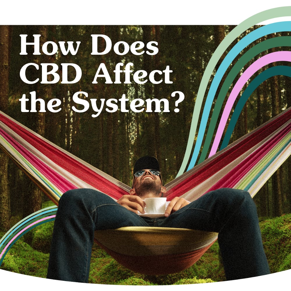 CBD and Your Body: How CBD Affects the Endocannabinoid System