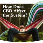 CBD and Your Body: How CBD Affects the Endocannabinoid System